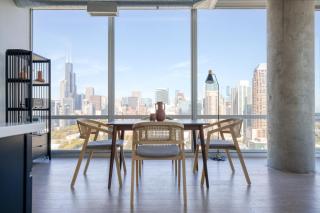 South Loop 2BR w gym roof nr Grant park CHI-771 - Chicago - 6