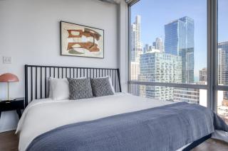 South Loop 2BR w gym roof nr Grant park CHI-771 - 2