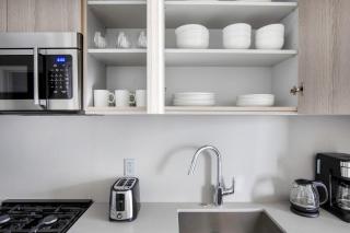 South Loop 1br w pool bbq gym nr Grant Park CHI-776 - Chicago - 2