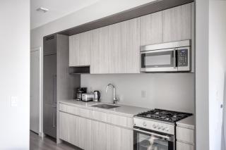 South Loop Studio w pool bbq gym nr Grant Park CHI-775 - 5