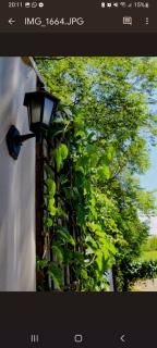 Container na montanha - 5