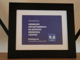 HERMOSO DEPARTAMENTO EN EDIFICIO MENDOZA CENTRO - Mendoza - 9