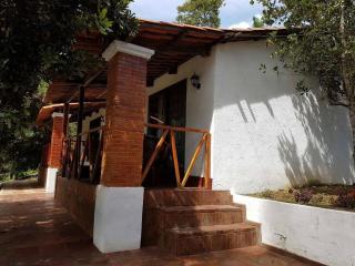 Bosque Macadamia - El Tejar - 7