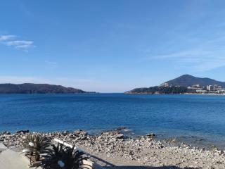 Luxury Apartment Astelmn - Budva - 8