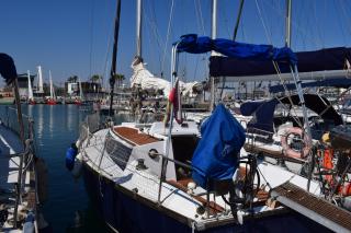 Velero en Puerto de Valencia - E&M Boats - Valencia - 0