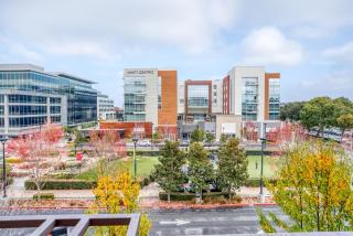 Mountain View 1BR w Pool Gym nr Caltrain SFO-703 - Los Altos - 9