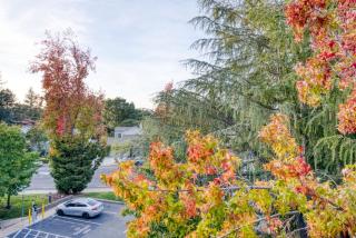 Palo Alto 1BR w Gym Pool nr FB Google SFO-706 - Palo Alto - 6