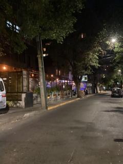 Depa Providencia, barrio historico, Metro Manuel Montt - Santiago - 4