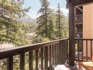 Studio cosy proche des Grands Bains, ski nordique, balcon sud-est, 4 couchages, local à skis - FR-1-330F-218 - Le Monêtier-les-Bains - 1