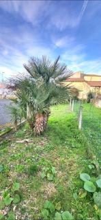 Studio et jardin "Le Coquet" - Jonzac - 3