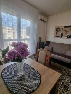 Apartment Dorcol Belgrade - Belgrad - 0