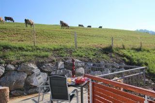 FeWo Glockenstüble mit Schwimmbad und Sauna - Oberstaufen - 4