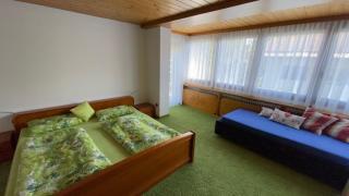Ferienwohnung Kaufmann - Oberstaufen - 1