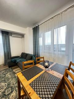 Cozy Deluxe Apartments in Centre of Historical Suceava - Suceava - 1