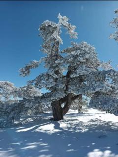 Alojamiento El Recreo - 5