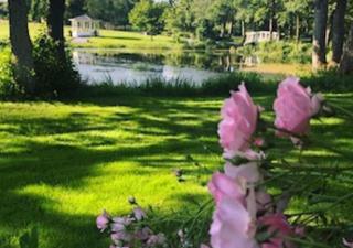Lille Grynborg - Blommenslyst - 8