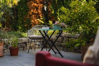Villa Rosa - Garden - Detmold - 4