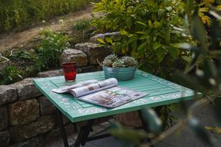 Villa Rosa - Garden - Detmold - 5