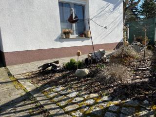 Ferienwohnung Seewaldhof - Lauchhammer - 2