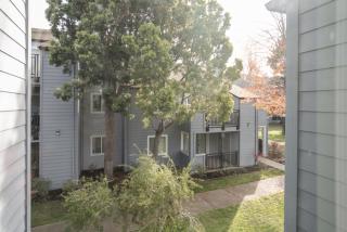 Palo Alto 1br w gym pool wd nr Stanford SFO-1259 - 4