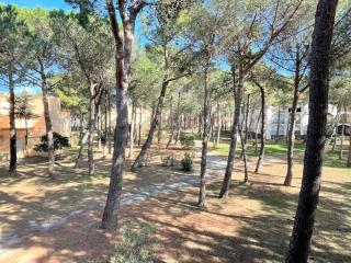 Studio cabine à 200m de la plage, animaux admis, proche commerces - FR-1-225-687 - Argelès-sur-Mer - 9