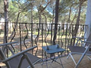 Studio cabine à 200m de la plage, animaux admis, proche commerces - FR-1-225-687 - Argelès-sur-Mer - 0