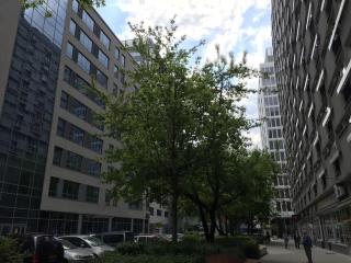24h check in, AirCon- Free public POOL-FITNESS-SAUNA - Warsaw - 8