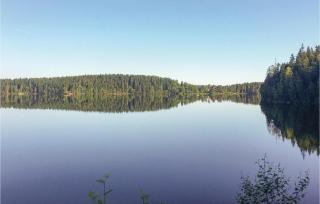 Amazing Home In Dalsjöfors With Sauna - Dalsjöfors - 9