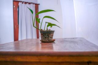 Knight Inn - Galle Fort - Galle - 7
