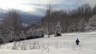 Gîte Les Ebeteux - 1