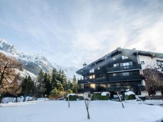 Charmant appartement avec balcon, parking et WiFi à Chamonix - FR-1-343-214 - Chamonix-Mont-Blanc - 4