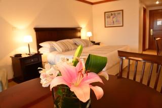 Radisson Hotel Colonia del Sacramento - 8