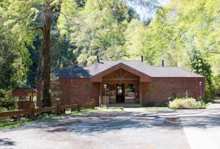 Hotel y Termas Huife - 8