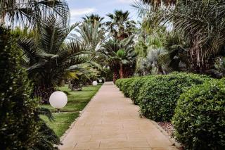 Plaza San Antonio Hotel & Spa, Autograph Collection - San Antonio - 4