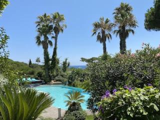 Villa Orchard - Saint-Tropez - 5