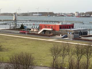 Seeschwalbe - 2