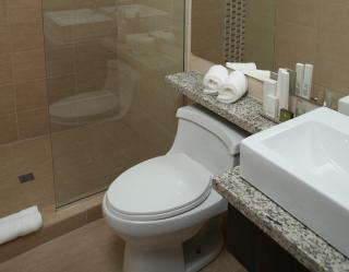 Aranjuez Hotel & Suites - David - 9