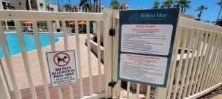 Bahia Mar #426 - South Padre Island - 2