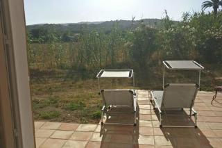 LES VIGNES ET LA PINEDE PRES DE LA PLAGE - Saint-Tropez - 1
