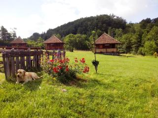 Etno village Gostoljublje - Kosjerić - 0