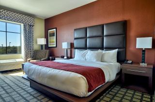 Comfort Inn & Suites Fort Smith I-540 - 9