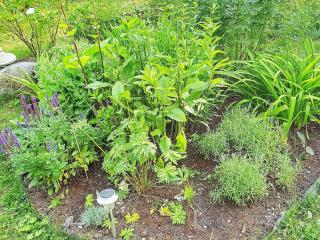 7 person holiday home in BLIDÖ-By Traum - 9