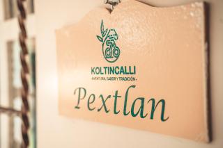Koltincalli - Xico - 5