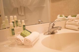 Royal Hotel Edmonton Airport Trademark Collection By Wyndham - Leduc - 2