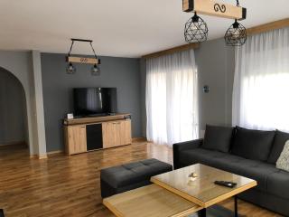 Vila ISKRA - Novi Sad - 4