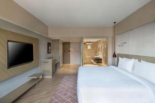 Radisson Hotel Sector 29 Gurugram - Gurgaon - 3