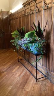 Liberty House - Bolonia - 5