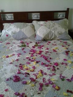 Hotel Doria - Rancagua - 6