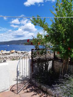 Apartments by the sea Valun, Cres - 20860 - Valun - 5