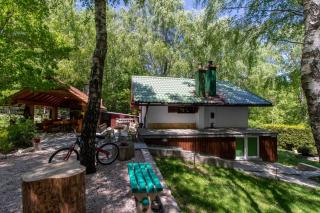 Holiday house with a swimming pool Breze, Novi Vinodolski - 20493 - 9